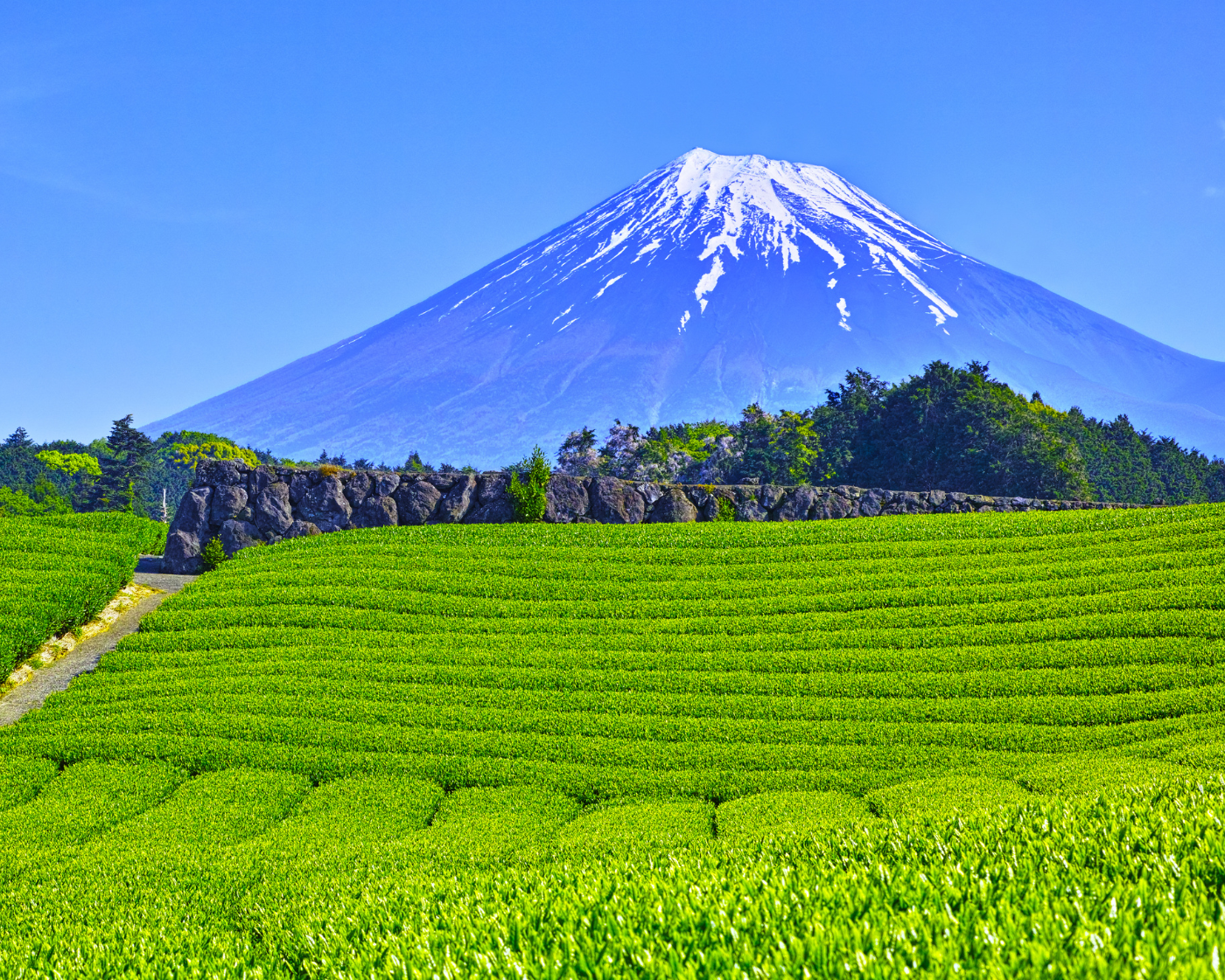 スライド画像
