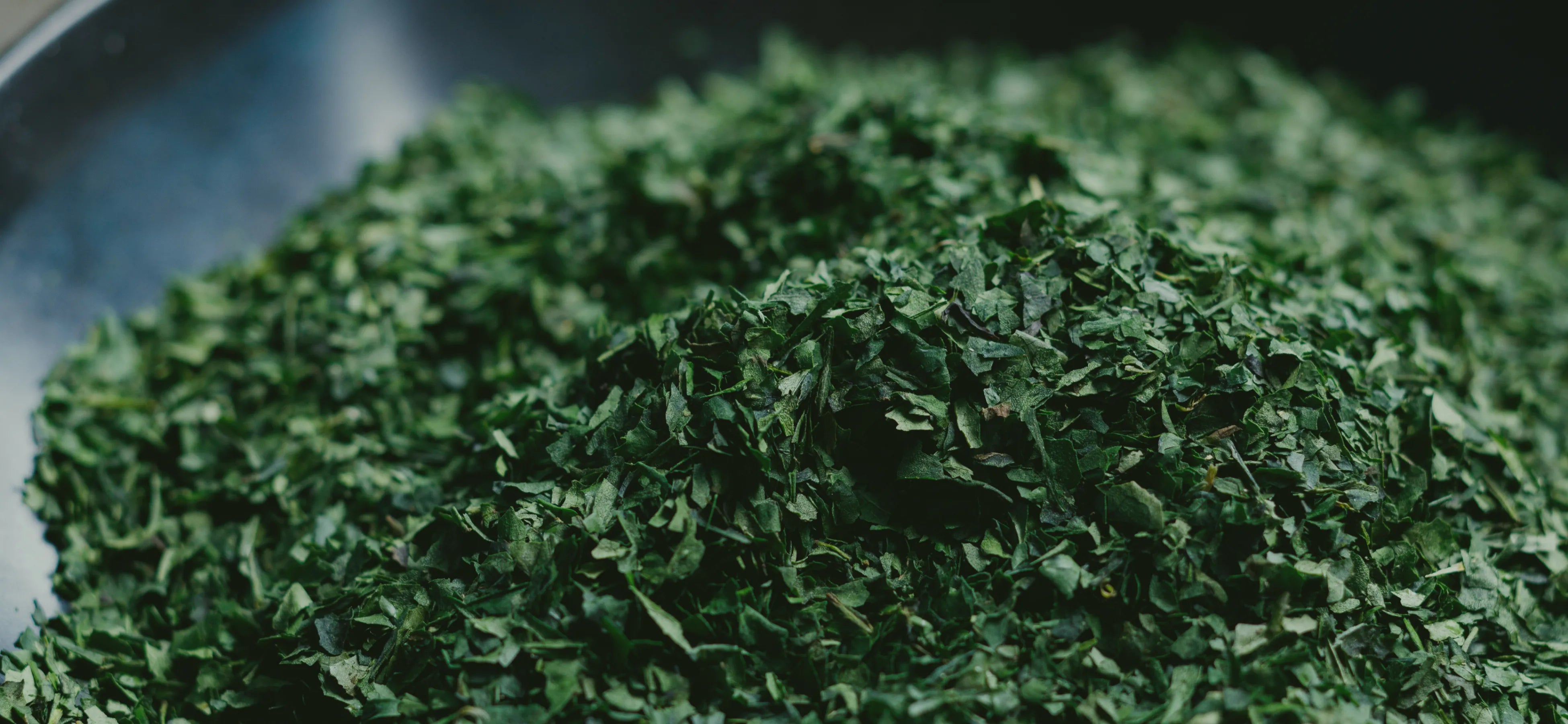 スライド画像